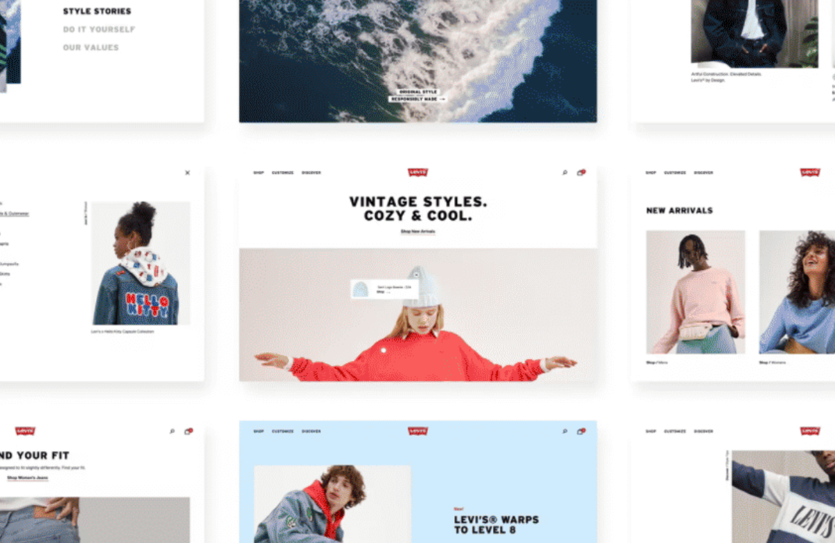Levi's Project